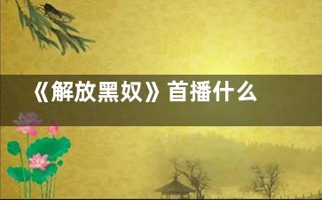 《解放黑奴》首播什么时候 《解放黑奴》那个平台可以看